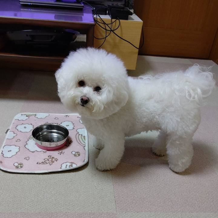 03e744d3 2a8b 4549 a1f7 b5e8beb50764 1602164469419