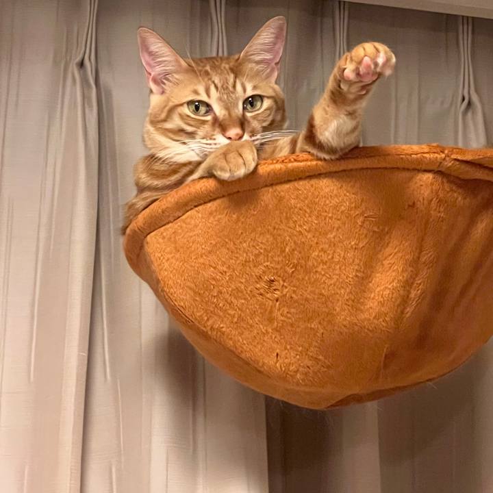 03e7d0f2 735c 40d0 a765 56ffaa7628ee 1674040486461