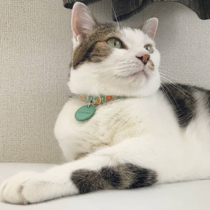 03e7f5b0 5ef9 4bb8 9611 dab49a17b823 1536024650875