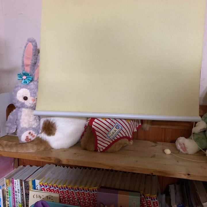 03e84ae1 60af 49f8 b5da 1ffd6b1a15d3 1585408483570