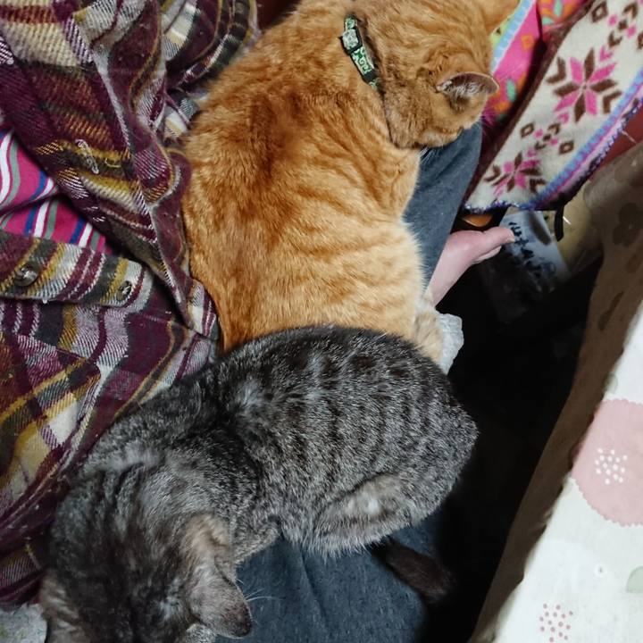 03e85f30 4475 4088 94b9 6eefbcdfe7e7 1585431661575