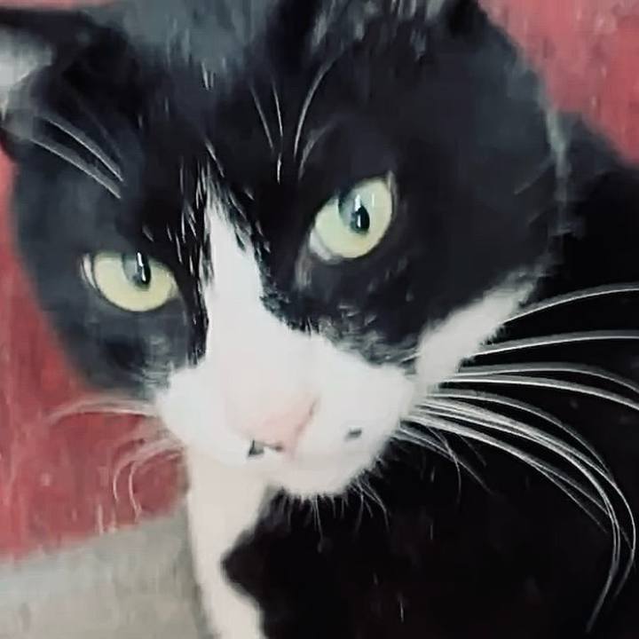 03e86587 c822 48b3 ab4f 9992b6c8bc2f 1758768216657