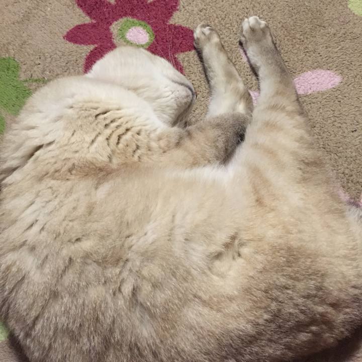 03e8d401 69ea 4151 903d 4a3b204149b3 1527248977875