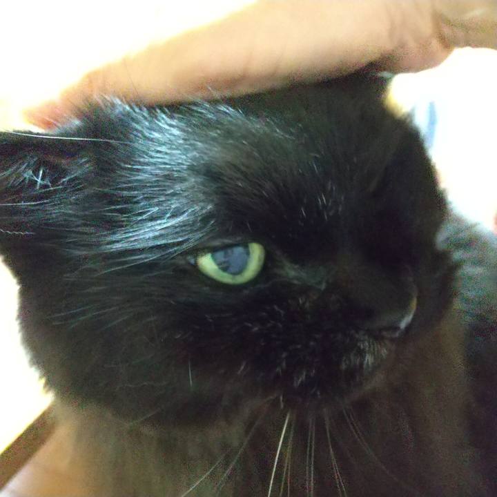 03e8daa9 3f9e 4882 b20f 08012e0207d2 1696419235371