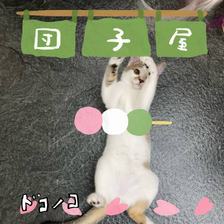 03e927c2 7575 4b3b 8cb0 0f8f986bf3f6 1712241173817