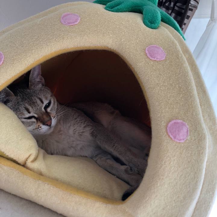 03e934dc 6ac6 44d8 8d43 e9bbe7f99aab 1541845122046