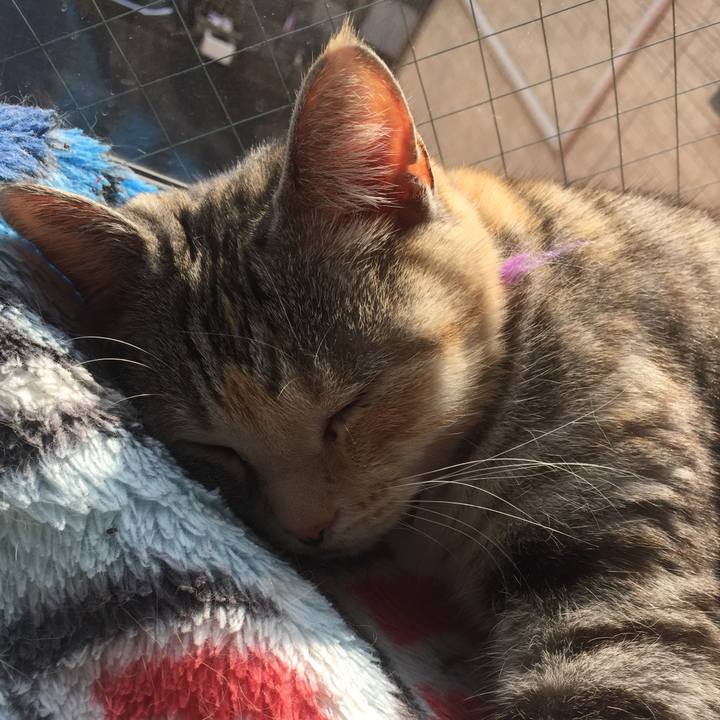 03e937e0 6fb6 4a9e b793 d588ed79e1da 1549512281759