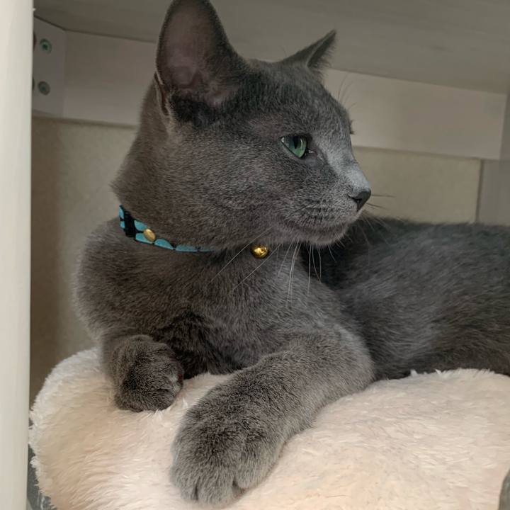 03e9674c 625d 4860 a74b d9e6e5cc73c1 1575355203495