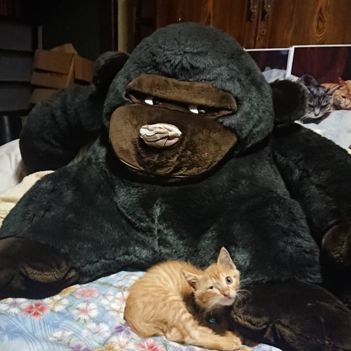 03e987dc 81be 41b1 a59e 2070996c81c2 1627912745955