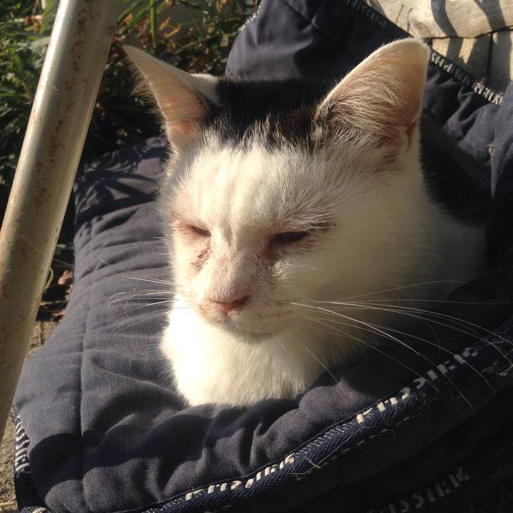 03e995fc c0e1 4a18 8412 3979a01e75f3 1541939868362