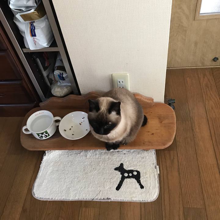 03e9b292 68ca 453e 9fbb 43ffd819331c 1555551341289