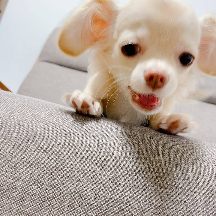 03ea4ba2 5a6e 45dc 8be7 e0d53085e128 1597320605236