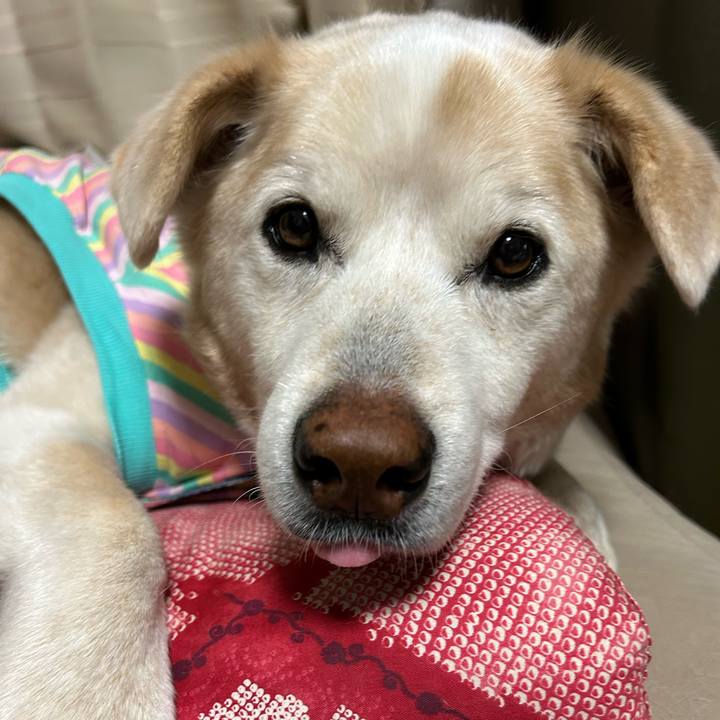 03ea55e6 a6f9 4825 b777 52dd3252ea44 1712152359328