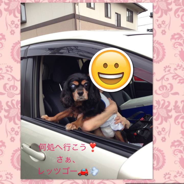 03ea5d24 dfe1 4546 a077 4eebeb4f8d84 1534759992220