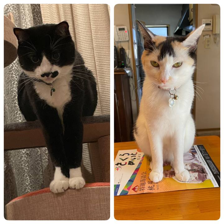 03ea9ce9 4955 40ef a2f1 6005041713fa 1706320868962