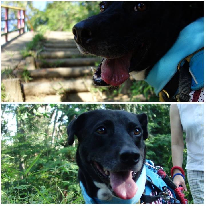 03eaaed4 5630 4ce6 b482 0877a6e81a6a 1626998828058