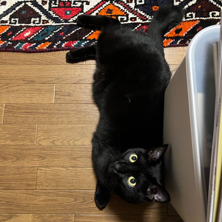 03eae3d0 bf82 4c67 a4b9 35fa51295182 1678548295598