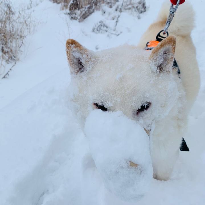 03eafb46 3183 41c4 b8c1 6a8c1fdd2179 1669852503827