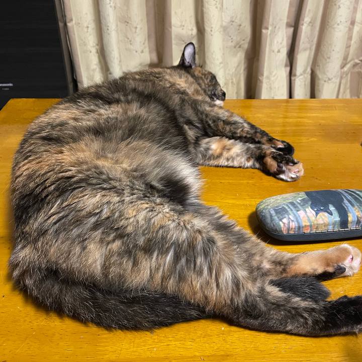 03eb0531 d365 4fe7 bae8 50b7d52d703f 1656367748138