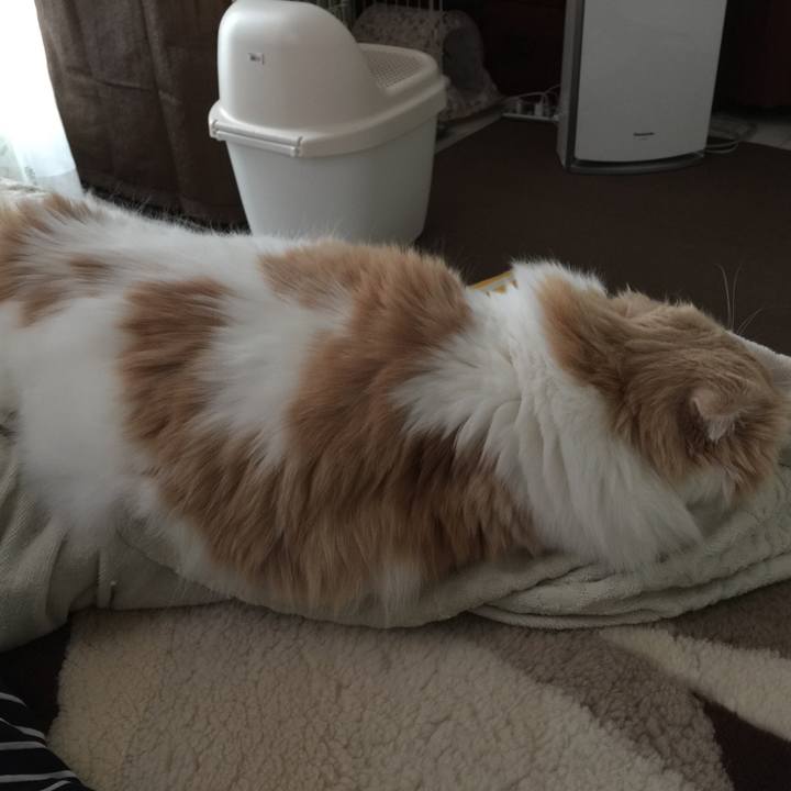 03eb162e 08d6 4e48 a800 20e88e6e5603 1576888835370