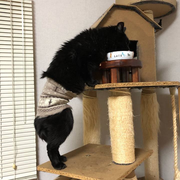 03eb47f0 47e8 433c 9374 2644a9fb0235 1604711370024