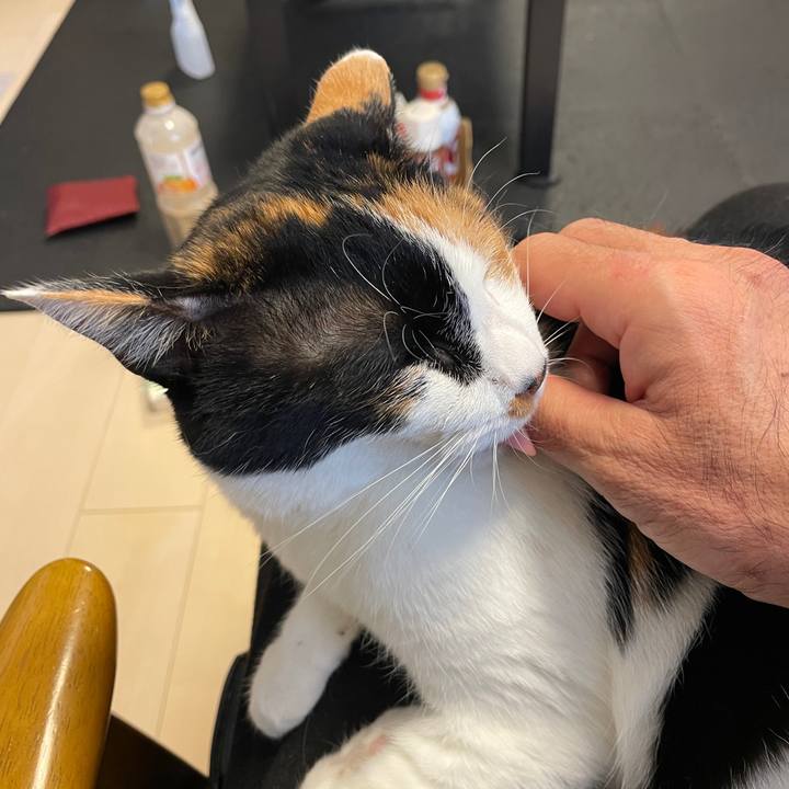 03eb4a5f fd9d 4e00 88bb c9a8588f6170 1736644479526