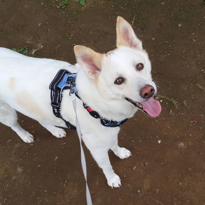 03eb55a6 b264 419c 9a20 c520c309ab08 1655512655243