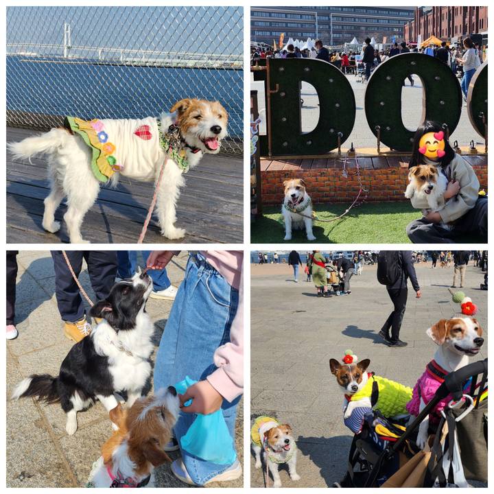 03ebb8d2 b369 434e 970c 5e4644c517a3 1710749806579