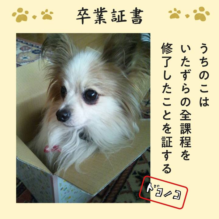 03ebe968 d1c2 4c03 80e3 fb86b0515554 1772501959209