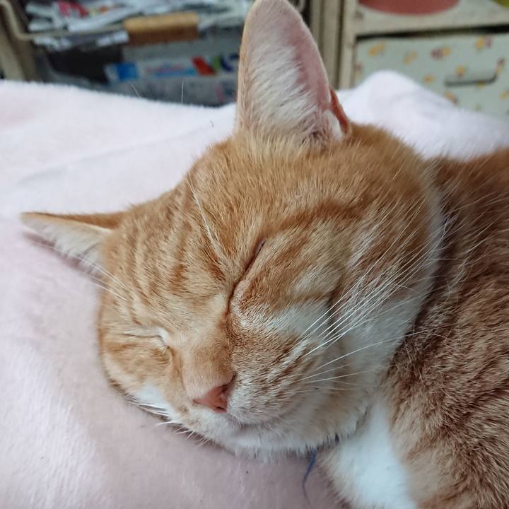 03ebfc59 07c4 4c3a 9060 4da626800125 1608691043987