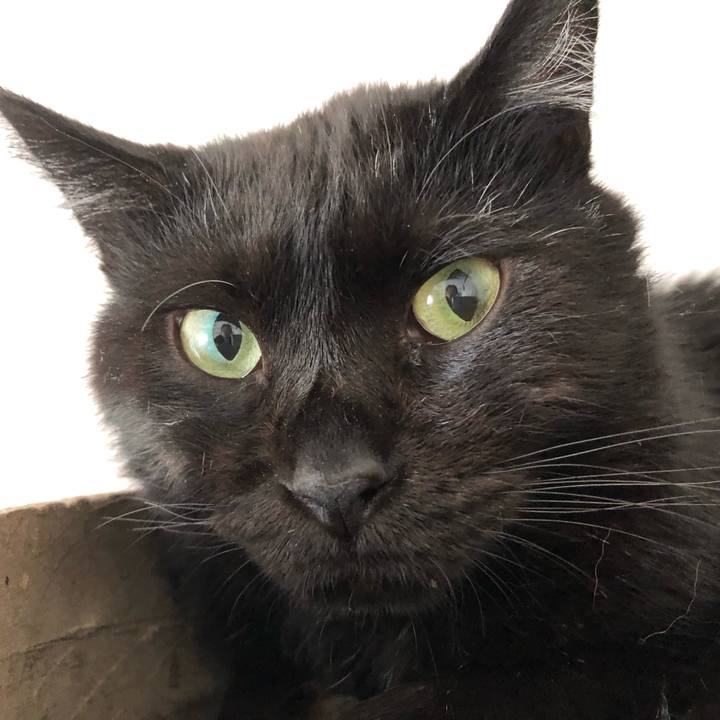 03ec12bd c0b6 46dd adb4 8a06a0d9efee 1565767635637