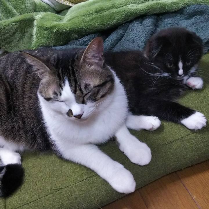 03ec1cef b9b6 416b 92ea d976d1b5e709 1639725976875