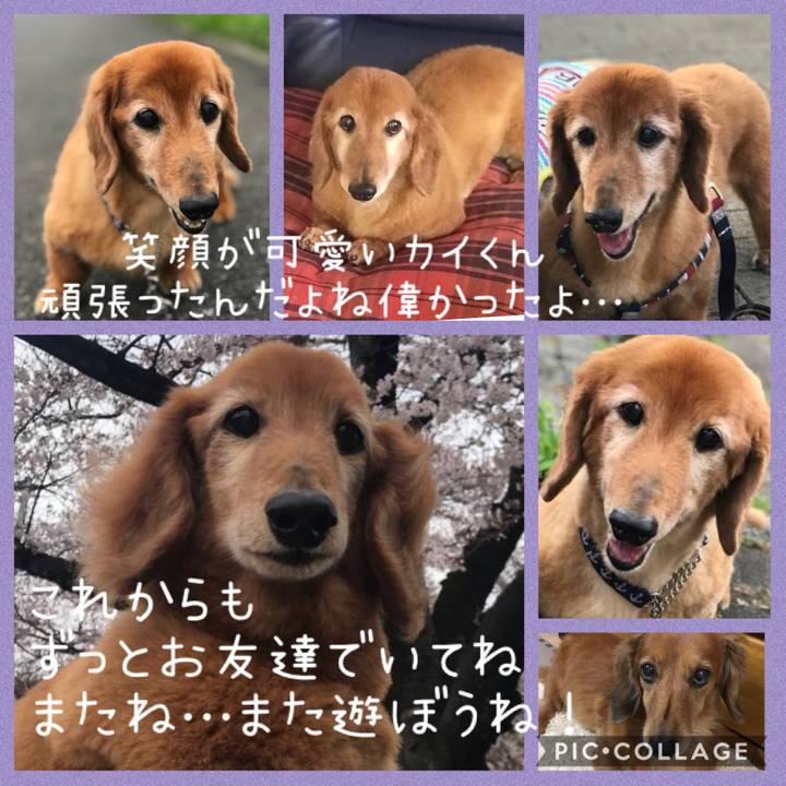 03ec4a55 7f12 4e17 a480 10d4b7c13cb8 1573899592258