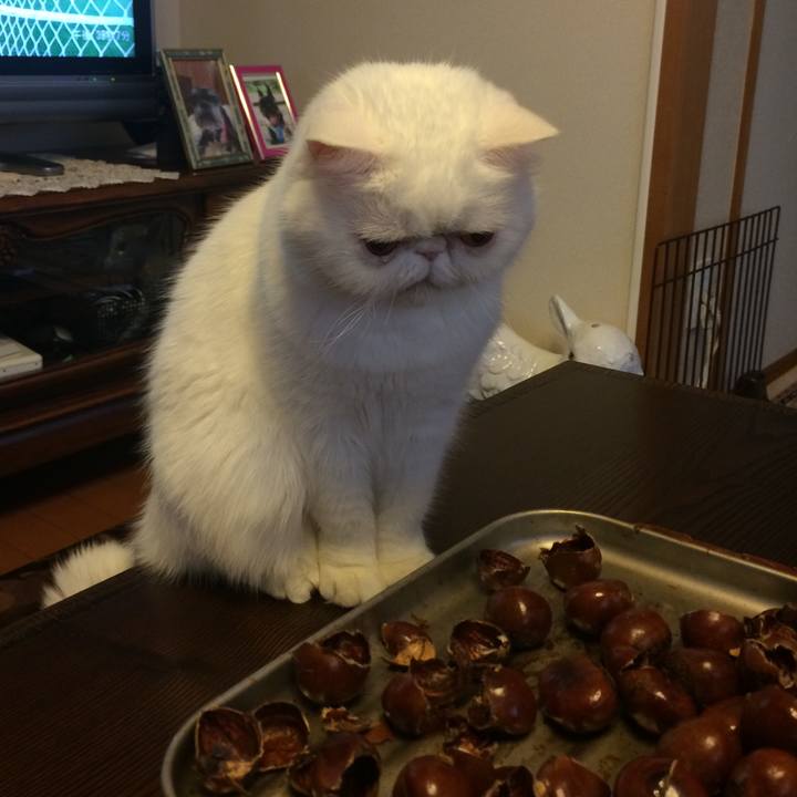 03ec4ecb 2b5a 4751 ad14 95cb98423aa8 1680090245044