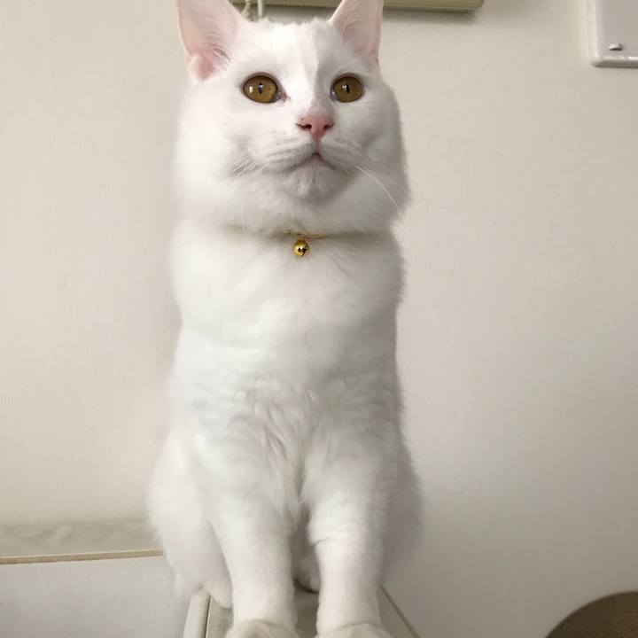 03ec6430 19a4 4d1b 9548 922fa655c1fe 1517715654061