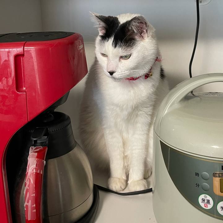 03ec6442 d769 4079 9492 5eccf6b19a2e 1612929009882