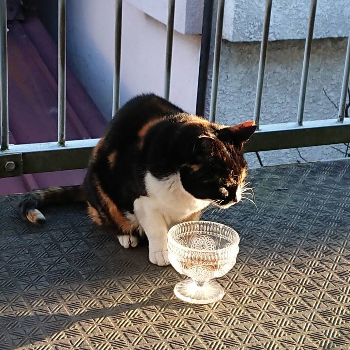 03ec7ddb 0e81 479a 9a58 6090b6654f61 1615778986690