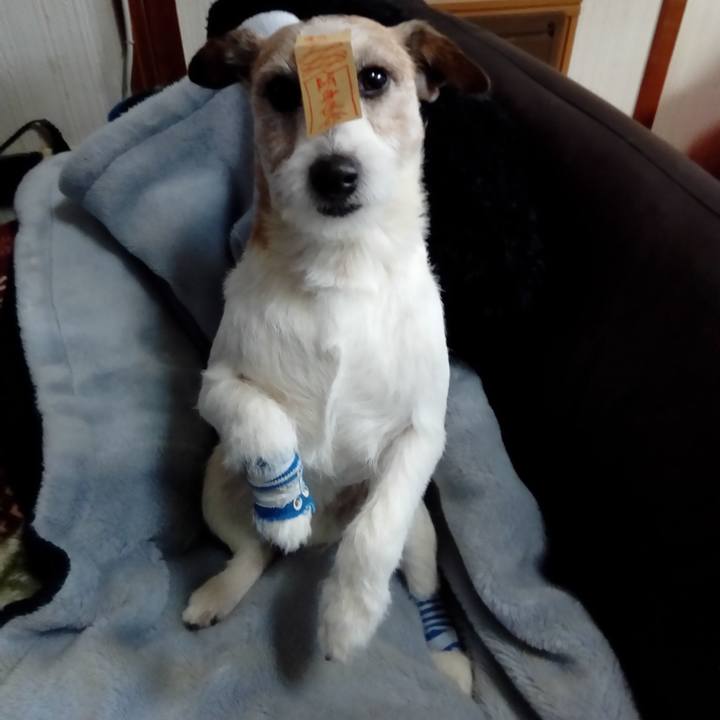 03ecad0f 57c7 4fc3 a5e0 d9b3cacde584 1547875627125