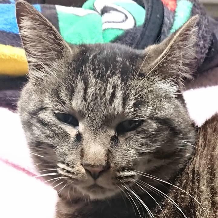 03ecd407 5e5d 4777 b431 58cad6888a18 1652965042070