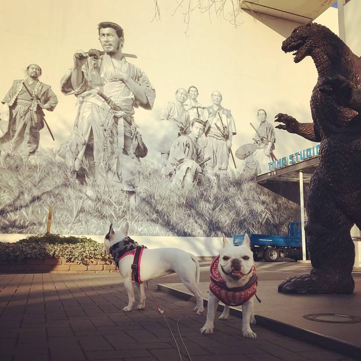 03ecead4 b0eb 423d a833 877fa8ec2fe0 1514460913453