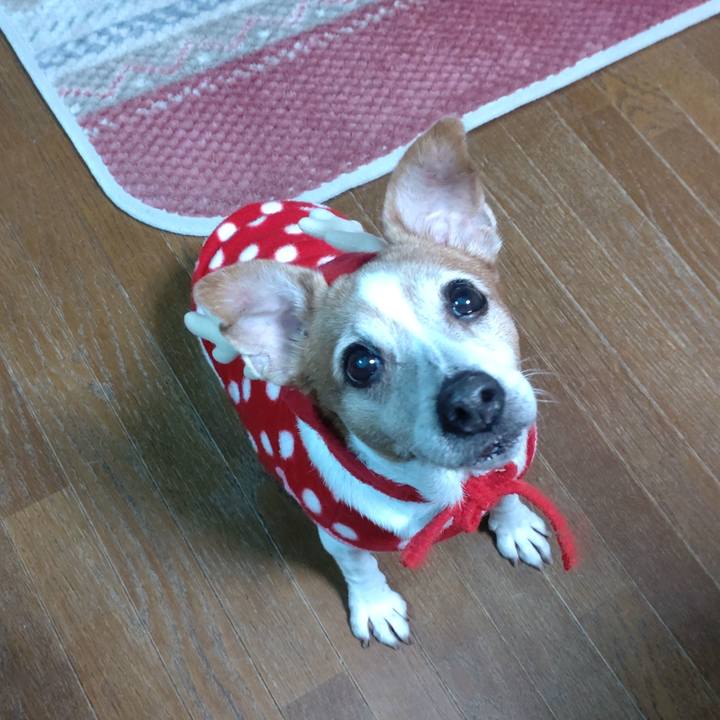 03ed1afe 119f 4609 8baf 9ef1489941c0 1766581993275