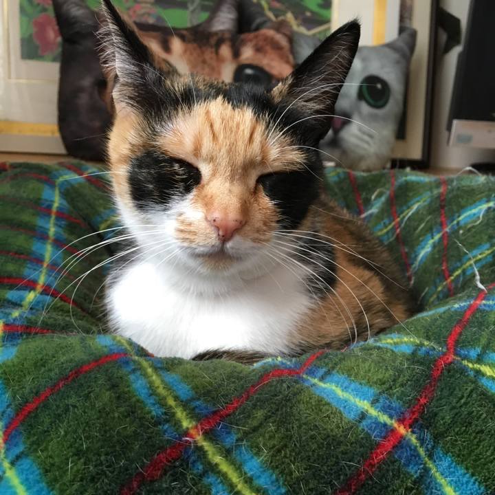 03ed5987 5fcd 416d 8b67 9995a00d9502 1519191079040