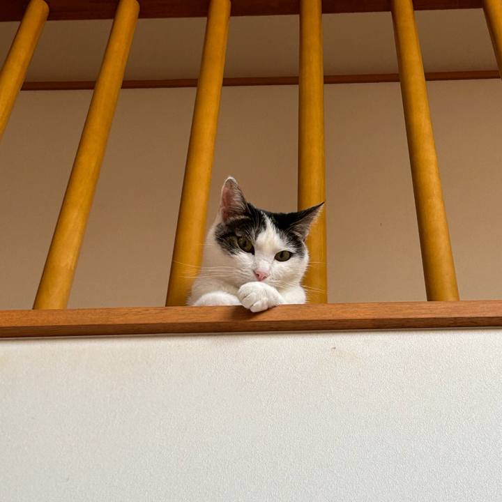 03edad7a 0110 4d49 b420 5fd966cbab42 1722636644286