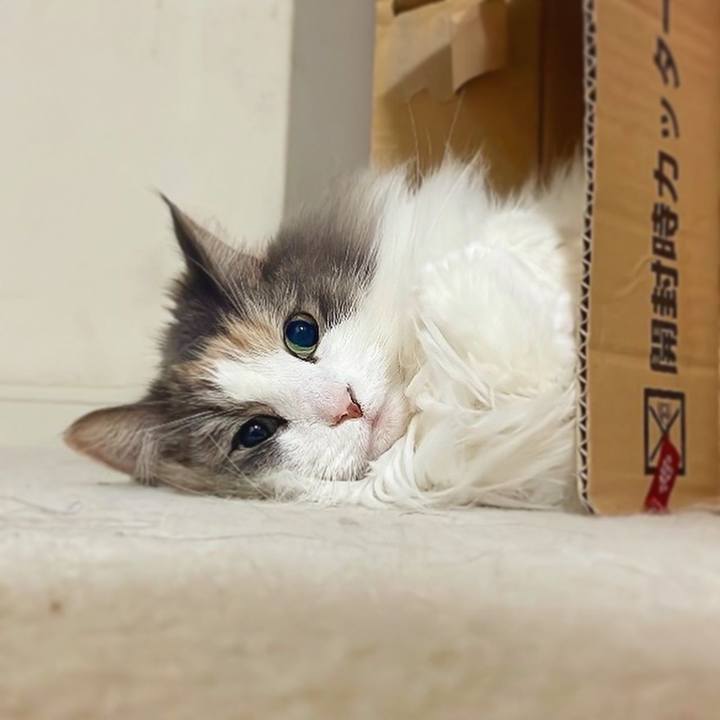 03edb549 4d84 4db7 a831 f44738fd3ee9 1705155353112