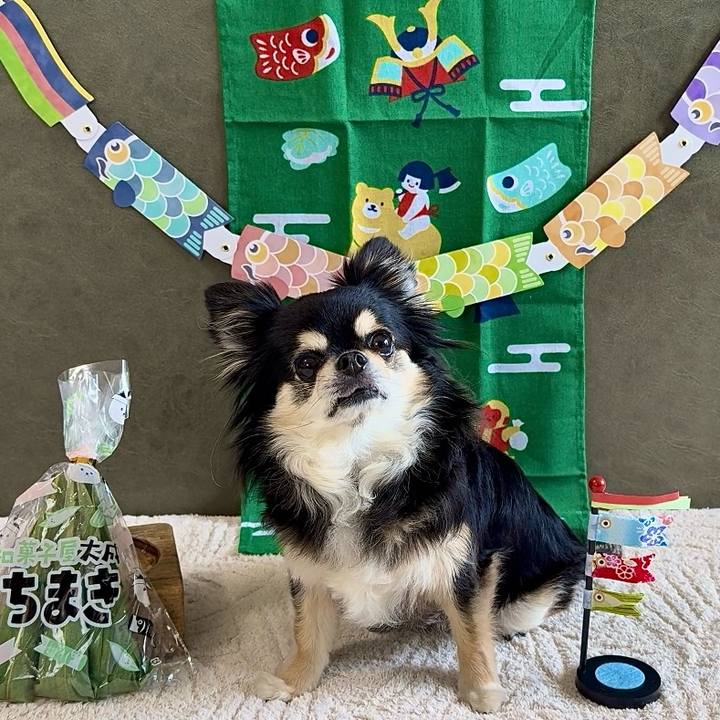 03edd2b9 0cb0 4253 9c2a bd123f11eebd 1746397509803