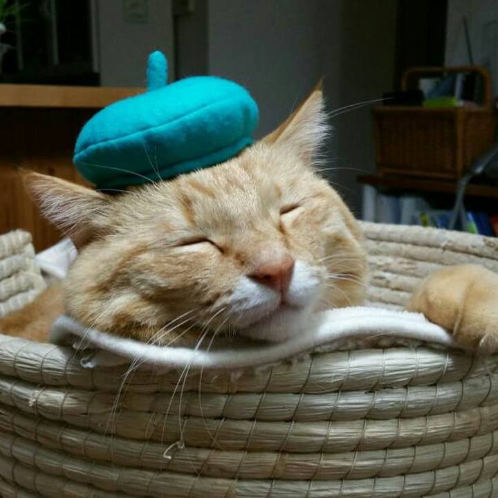 03ee05ba 8cf4 48eb b13f df6daabc3580 1518616200152