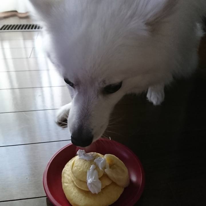 03ee3de3 8e26 46d5 a0f7 cb38a6b3c8ff 1560321722428