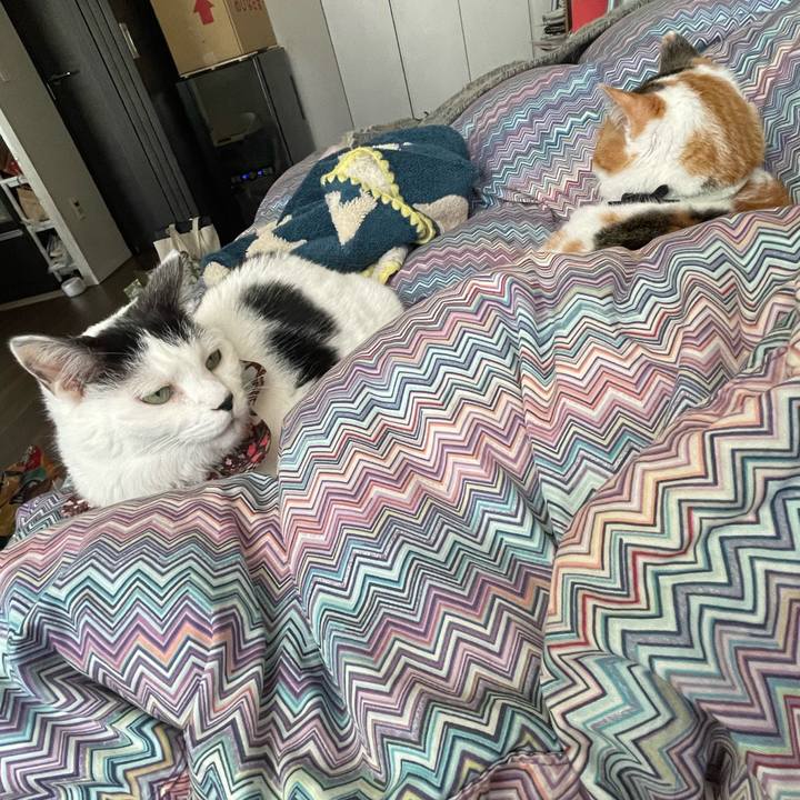 03ee4f47 aec2 4a62 84c4 bb6bc8bf5300 1679441620234