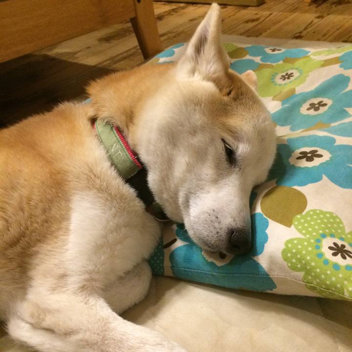 03ee7f8f 3b36 48d5 9deb 85d18202c9e3 1565620485850