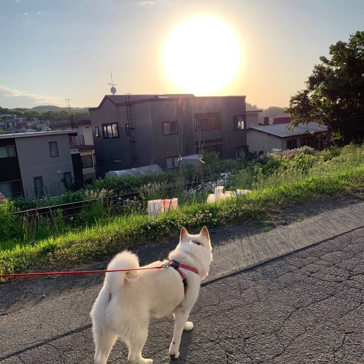 03ee9beb ba9f 4333 bb60 962f4401baf7 1591994678070